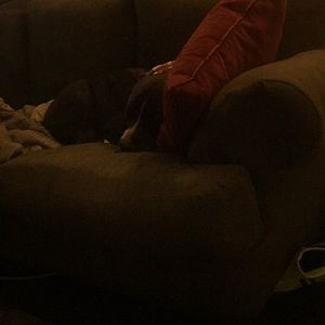 Meet your Posher, Christine